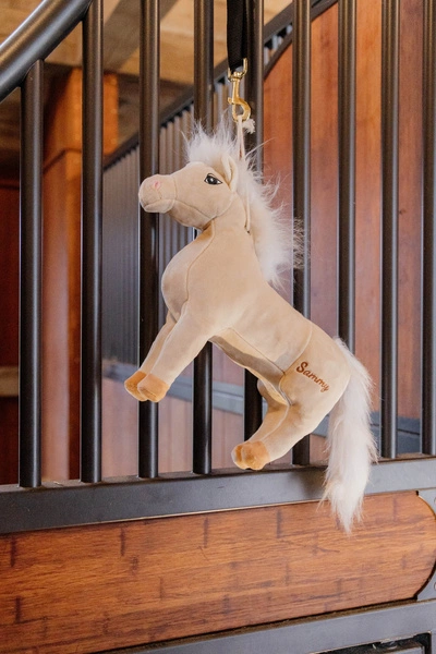 Kentucky Przyjaciel do boksu Sammy