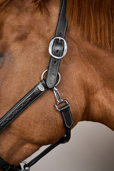 Dy'on kantar Head Collar Fancy - czarny