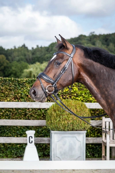Ogłowie Dy'on z szerokim matowym nachrapnikiem szwedzkim - czarne