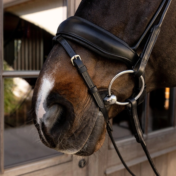 Ogłowie rurkowe Dy'on ComfoHead Working