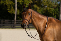 Ogłowie Equiline BJ300 - brązowe