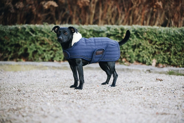 Kentucky derka dla psa Pearls - granatowa