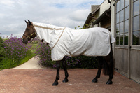 Derka Kentucky Sweet Itch Fly & Summer Sheet Comfort
