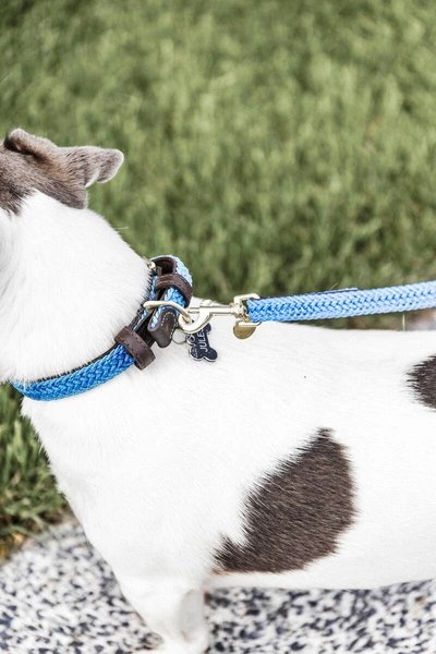 Pleciona smycz Kentucky Nylon 2m - błękitna