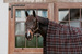 Osuszająca derka Kentucky Heavy Fleece Rug Square Stripes 210x200 cm