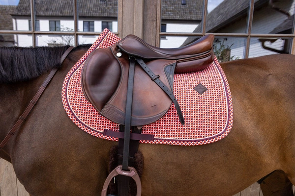 Kentucky czaprak Velvet Printing - fiolet / czerwień