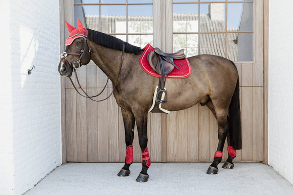 Kentucky Ochraniacze Young Horse Fetlock Velvet na zadnie nogi - czerwone