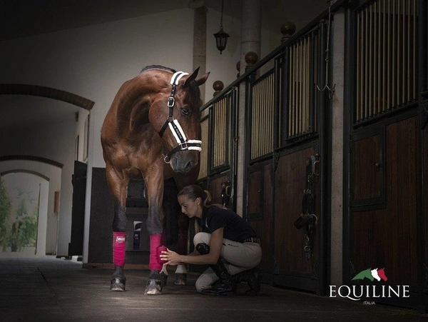Komplet polarowych bandaży Equiline Polo - bordowe