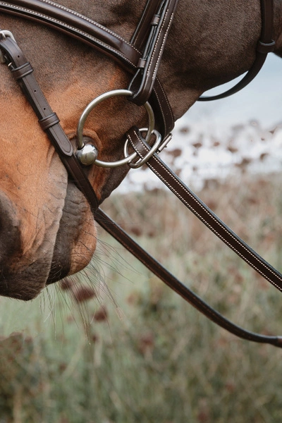 Gumowe wodze z 7 stoperami i zapięciem pierścieniowym 1/2" Dy'on Working - czarne