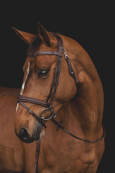 Ogłowie Equiline z przeszyciami BJ301 - brązowe