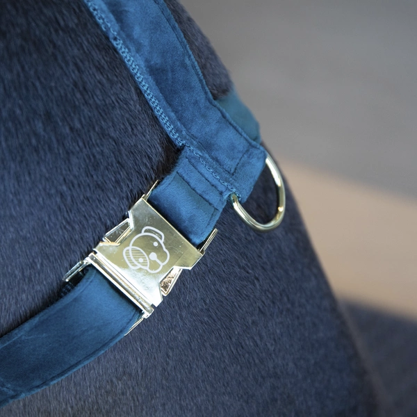 Szelki dla psa Kentucky Loop Velvet - szmaragdowe