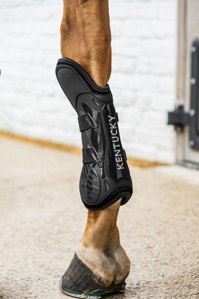 Kentucky Tendon Boots Elastic Knee Protection na przednie nogi - czarne