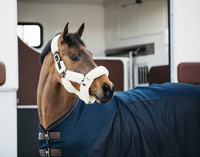 Derka Kentucky Mesh Combo Cooler