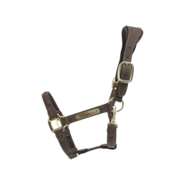 Kentucky anatomiczny kantar zamszowy - brązowy
