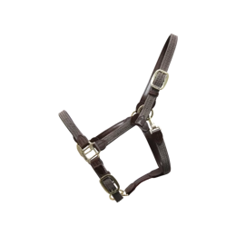 Kentucky kantar pleciony - szary