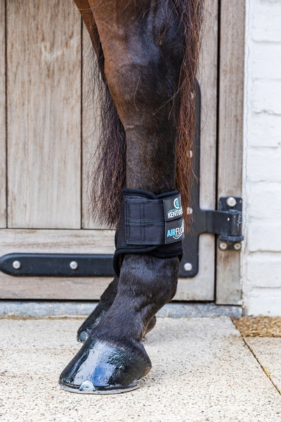 Kentucky ochraniacze na tył Eventing Boots 3D Air Flow Short - czarne