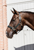 Kentucky kantar Pearls - czarny