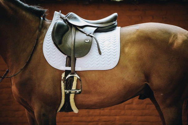 Kentucky czaprak Fishbone - biały