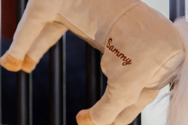 Kentucky Przyjaciel do boksu Sammy