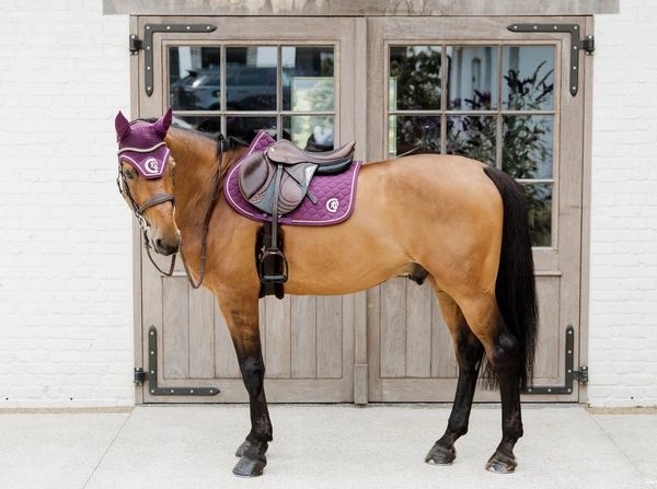 Kentucky nauszniki Wellington 3D Logo Rope - fioletowe