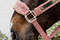 Kentucky kantar Teddy Fleece podszyty puchatym polarem - old rose