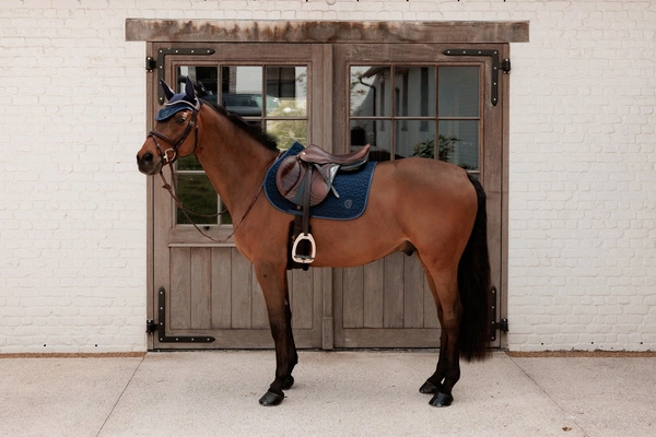 Kentucky czaprak Sparkling - granat