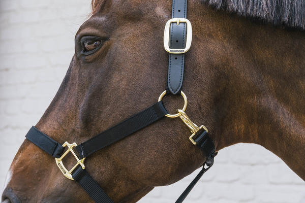 Kentucky kantar Nylon Halter Breakaway - czarny