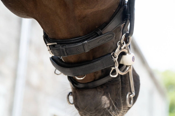 Ochraniacz na łańcuszek Dy'on - brązowy