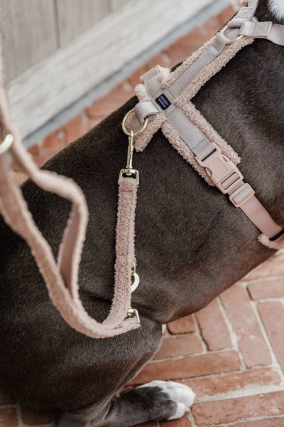 Smycz Kentucky Teddy Fleece 2m - beżowa