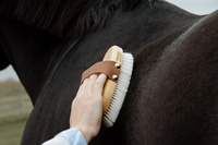 Mała miękka szczotka do sierści - Kentucky Grooming Deluxe