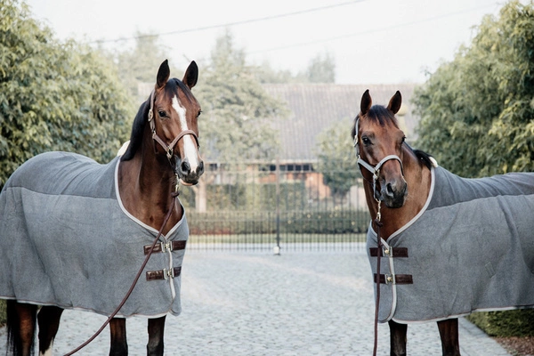 Kentucky derka polarowa Heavy - szara