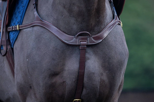 Anatomiczny skórzany napierśnik Dy'on D Collection