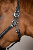 Dy'on kantar Head Collar Fancy - czarny