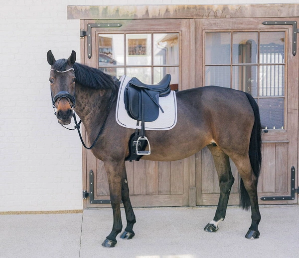 Kentucky czaprak Metal Chain - biały