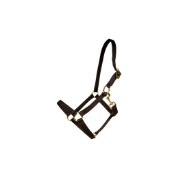 Kentucky kantar Nylon Halter - czarny
