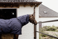 Kentucky kaptur Waterproof Horse Scarf Classic 0 g  - granat 