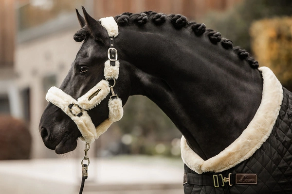 Kentucky kantar obszyty futrem - naturalny