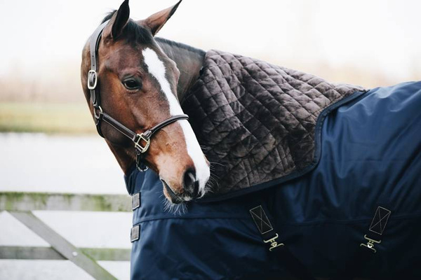 Kentucky derka padokowa All Weather Waterproof Pro 0g - granatowa