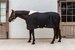Kentucky derka stajenna Comfort 300g - czarna
