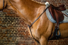 Skórzano-elastyczny napierśnik Dy'on Breastplate D Collection - brązowy