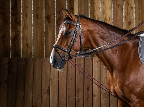 Dy'on wodza pomocnicza Working 5/8