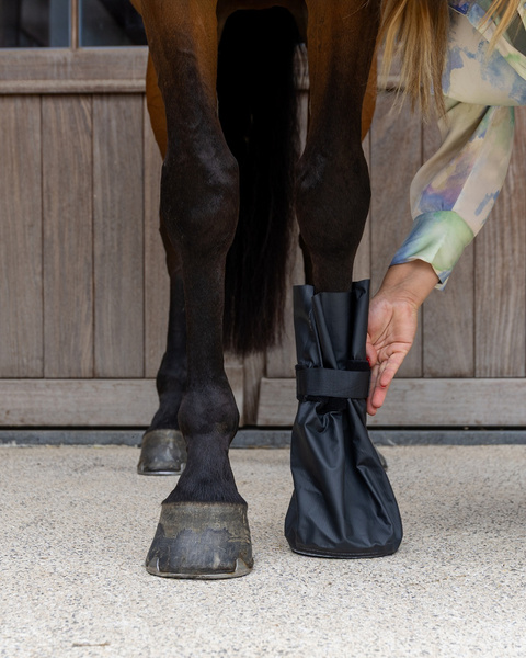 Kentucky Hoof Boots Medical & Ice Boots