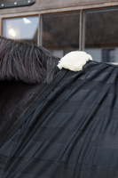 Derka Kentucky Light Striped Mesh Fly Sheet - czarna