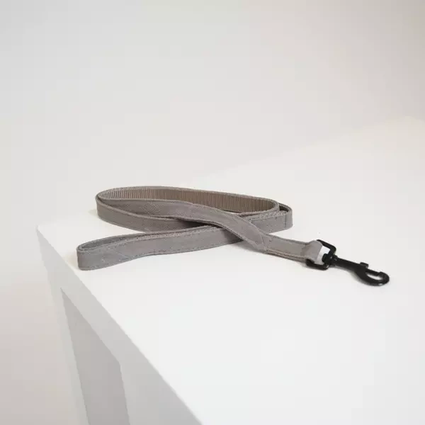 Smycz Kentucky Lizard 1,2m - beżowa