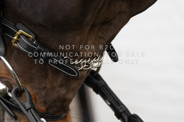 Dy'on łańcuszek do Hackamore Chain 5/8" D Collection - czarny