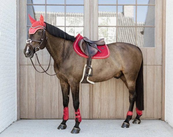 Kentucky Ochraniacze Bamboo Tendon Elastic Velvet na przednie nogi - czerwone