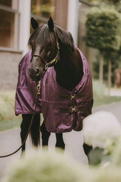 Kentucky derka padokowa All Weather Waterproof Pro 160g - fioletowa