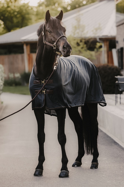 Derka Kentucky Mesh Fly Sheet - granatowa