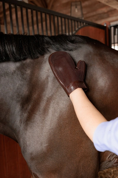 Gumowa rękawica do pielęgnacji - Kentucky Grooming Deluxe- brązowa