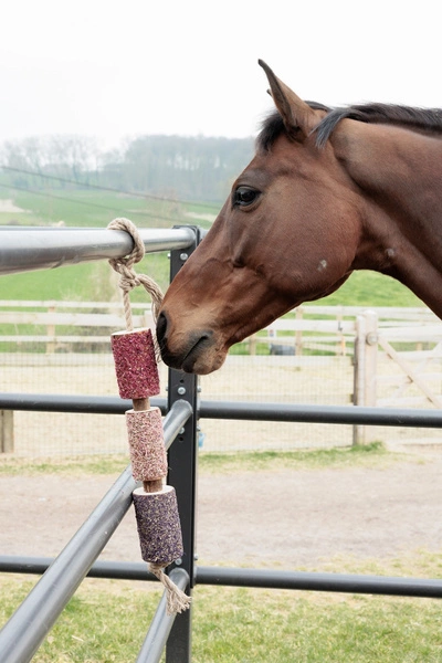 Kentucky gryzak dla koni Relax Horse Toy - unicorn joy